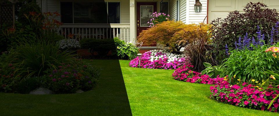 Spartanburg Landscapers