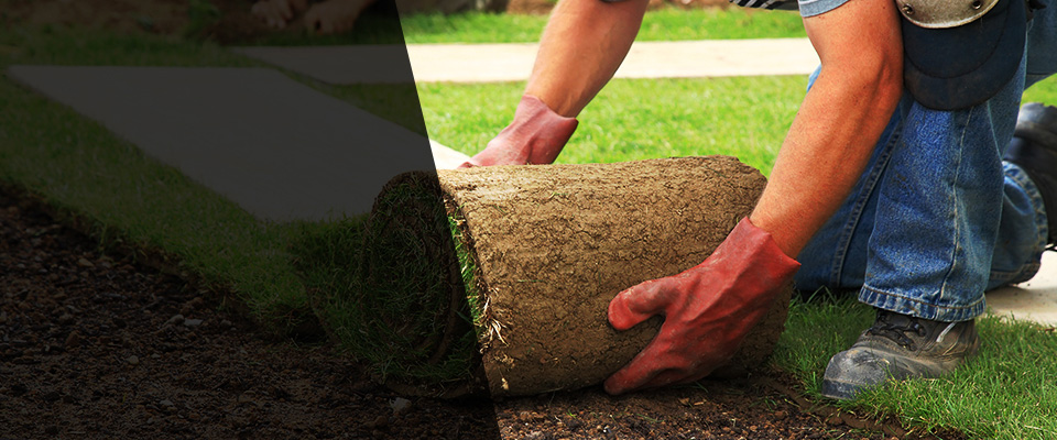 Spartanburg Landscapers